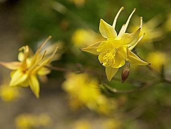 绝地求生一键下趴 雷柏VT960屏显双模无线RGB游戏鼠标宏定义驱动设置